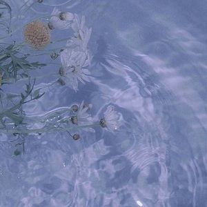 Meet your Posher, Francheska